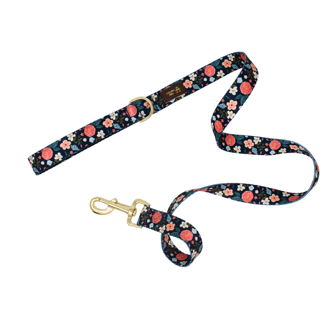 Riley Dog Leash | Dog Leash | Dog Lead