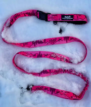 Rocky Mountain Dog - Cascade Mountain Leash