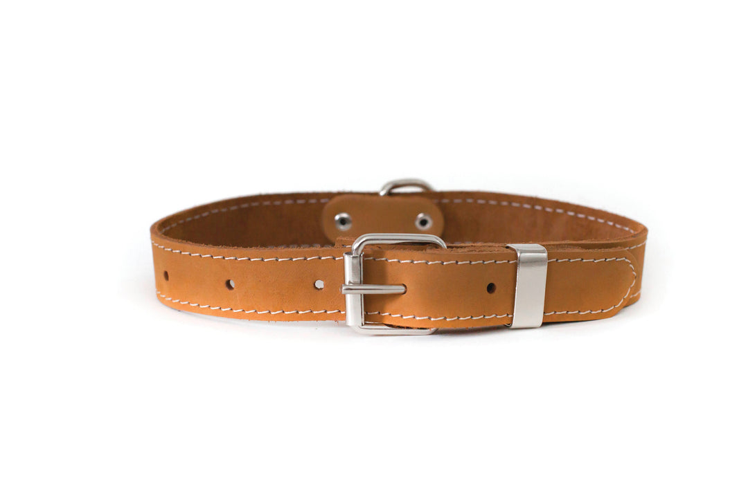 Traditional Style Soft Leather Euro Dog Collar