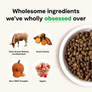 Open Farm Dog GF Beef Recipe