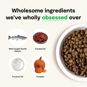 Open Farm Dog GF Wild-Caught Salmon