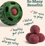 Woof Pupsicle Pops Allergy & Immunity