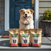 Subscribe & Save: Auto-Delivery Dog Food