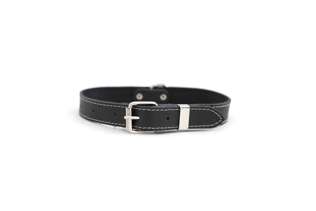 Traditional Style Soft Leather Euro Dog Collar