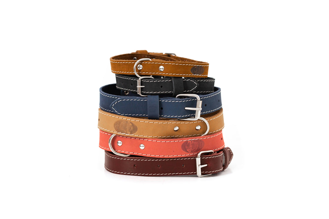 Traditional Style Soft Leather Euro Dog Collar