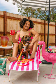 Katelin All Weather Leash