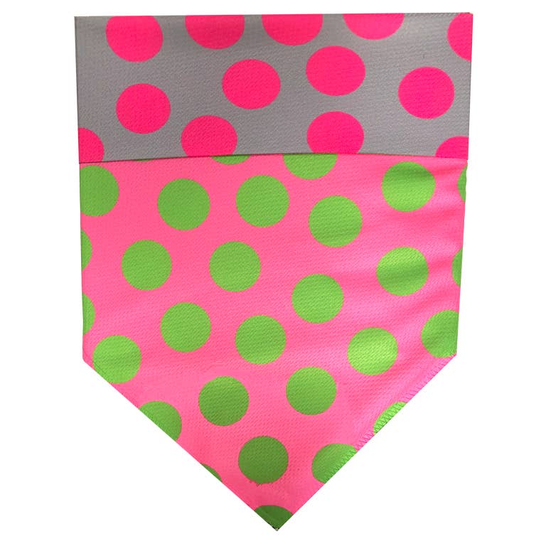 Neon Green Dots on Pink (collar & accessories)