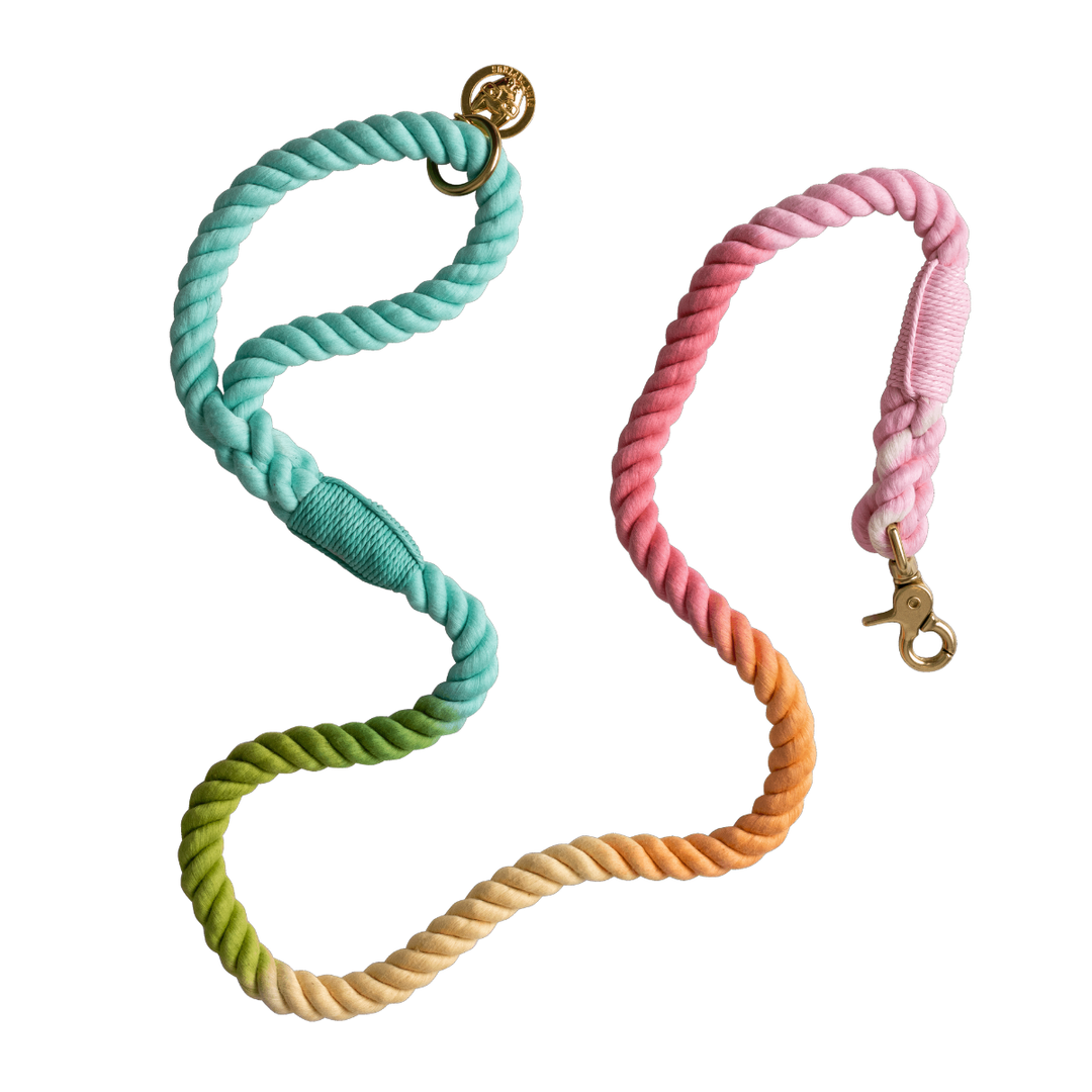 Halston Rope Dog Leash | Dog Leash | Pastel Leash