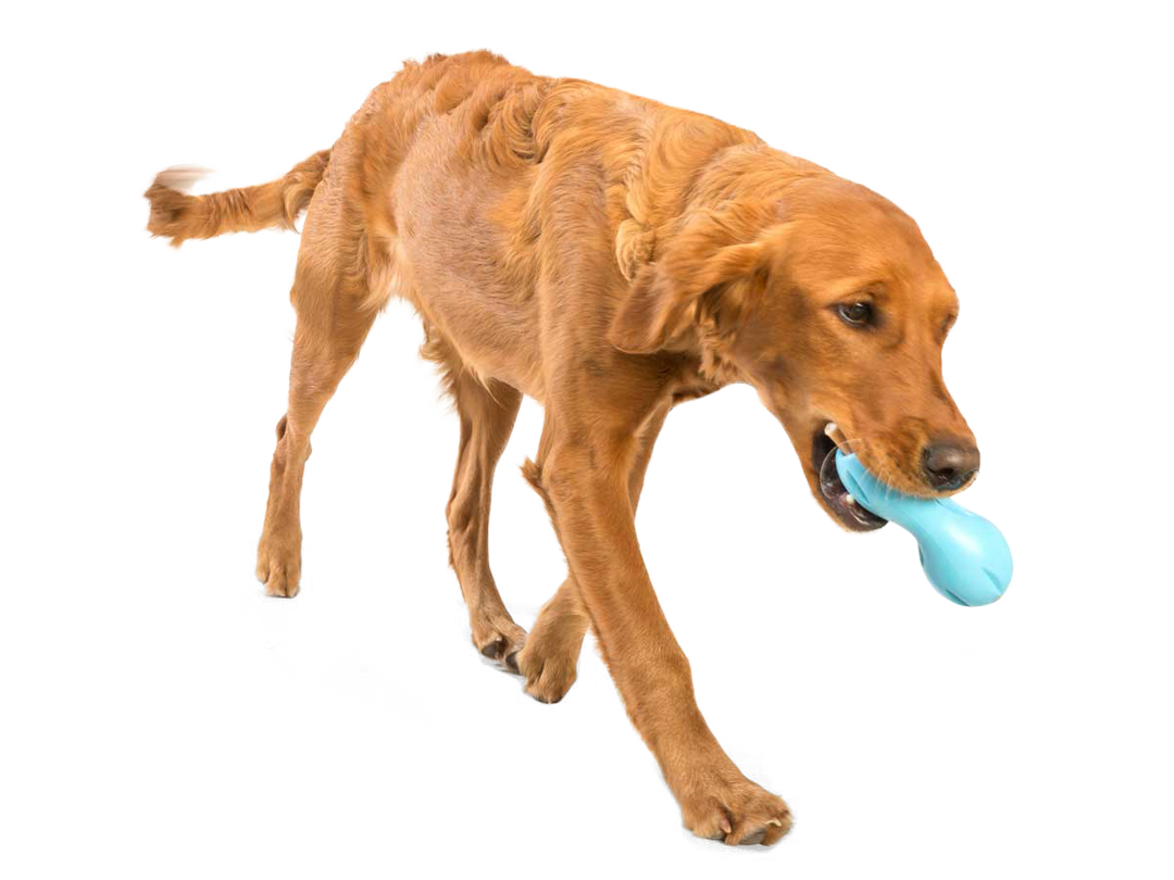 Qwizl® Dog Puzzle Treat-Dispensing Enrichment Toy