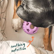 Woof Pupsicle Calming Wellness Pops