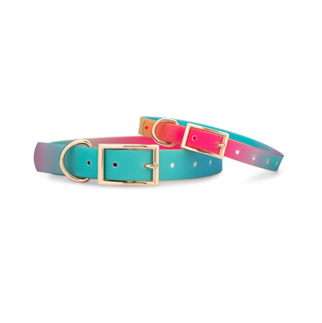 Waterproof Dog Collar - Pippa