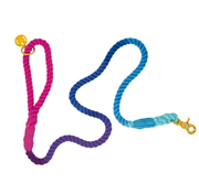 Pink Papyrus | Premium, Durable, & Stylish Dog Products - Pixie Rope Dog Leash | Dog Leash | Ombre Leash
