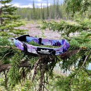Rocky Mountain Dog - PNW Alpine Dog Collar