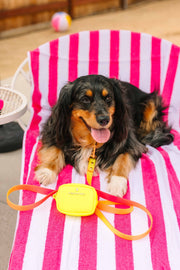 Katelin All Weather Leash