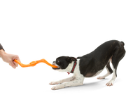 Bumi® Dog Toy for Chew, Tug, and Fetch