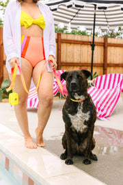 Katelin All Weather Leash