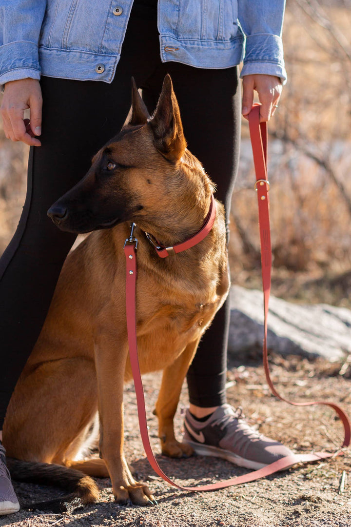 Modern Style Soft Leather Euro Dog Leash