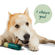 Woof - The BullySafe