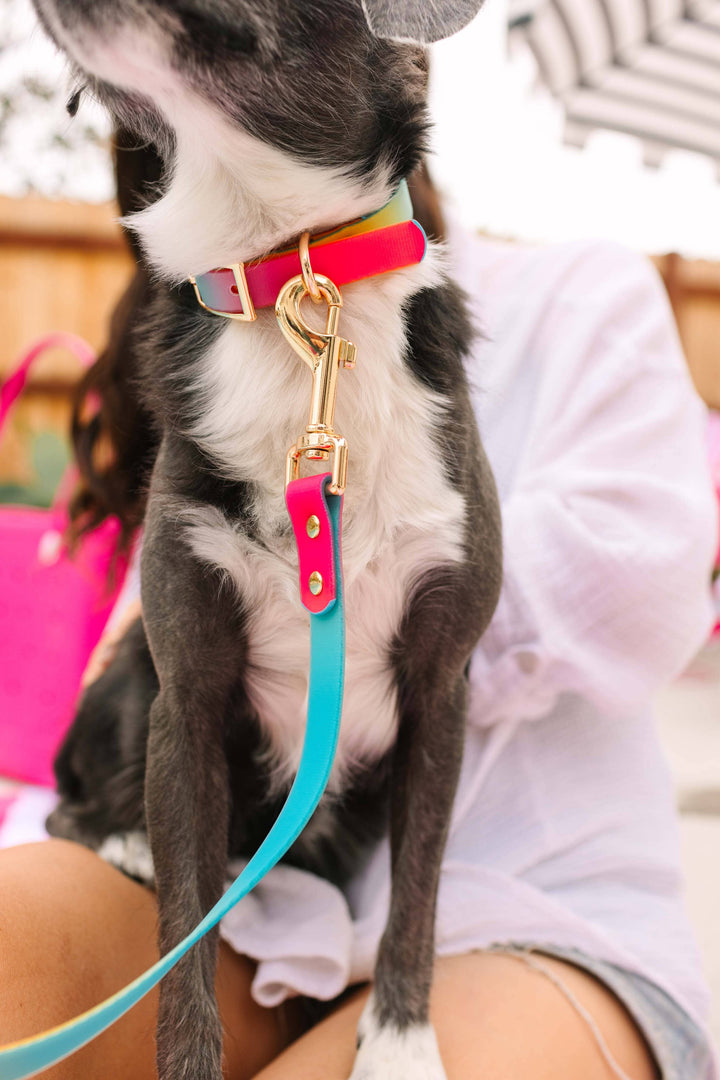 Waterproof Dog Collar - Pippa