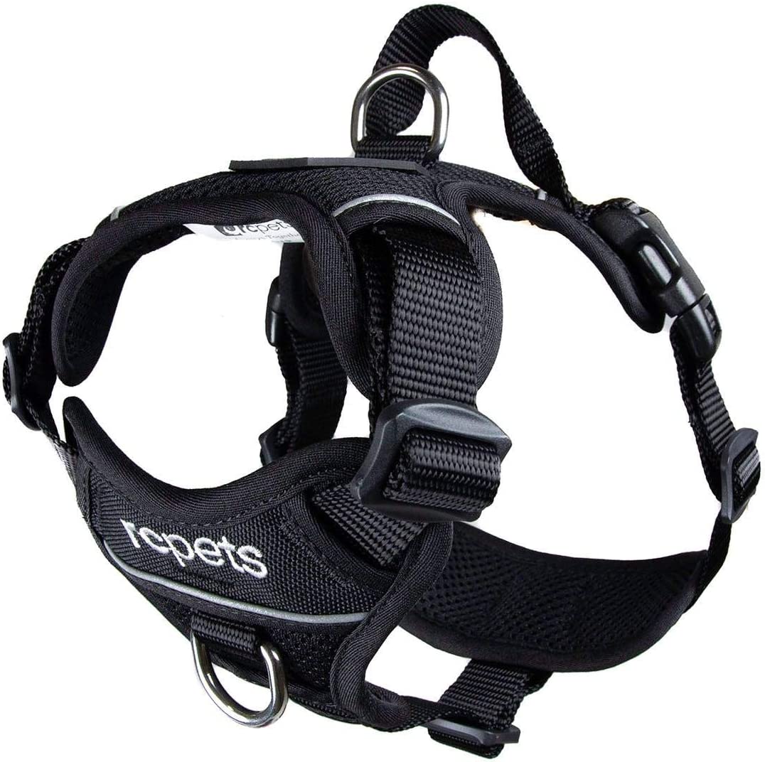 RC Pets Momentum Harness Black