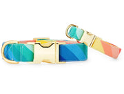 The Foggy Dog Collar Rainbow