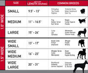 Buckle-Down Collar Owls Small