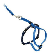 Petsafe Come With Me Kitty Harness and Bungee Leash Blue/Navy