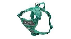 RC Pets Momentum Harness Parakeet