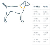 Ruffwear Web Reaction Collar Blue Dusk