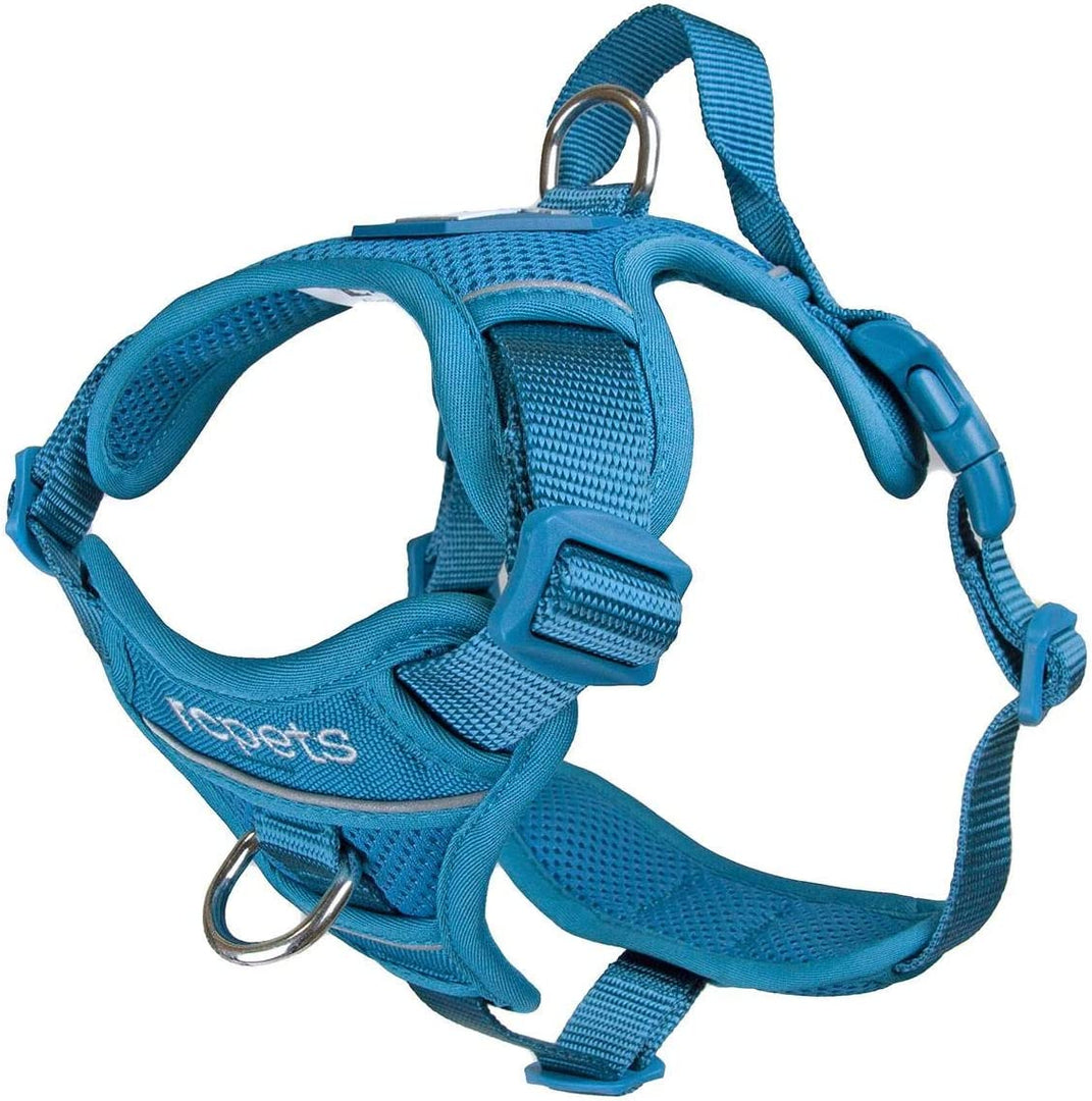 RC Pets Momentum Harness Dark Teal