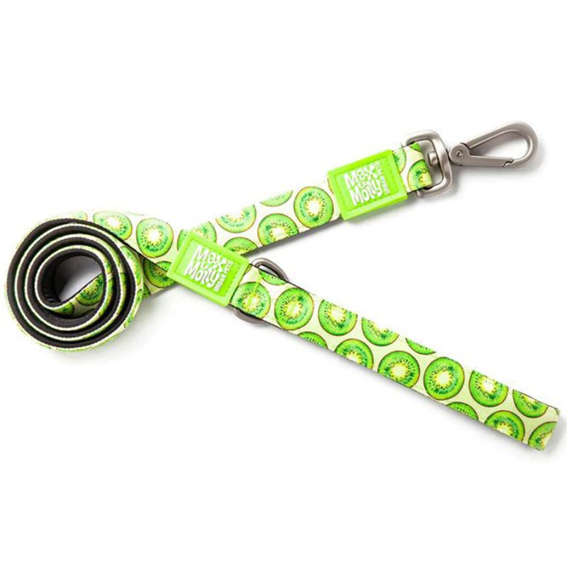 Max & Molly Urban Pets Kiwi Leash