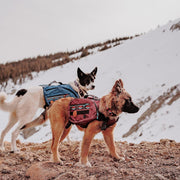 Wilderdog Backpack Huckleberry