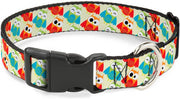 Buckle-Down Collar Owls Small