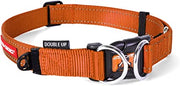 EZYDOG Double Up Collar Orange