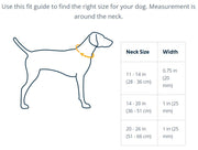 Ruffwear Chain Reaction Collar Gray