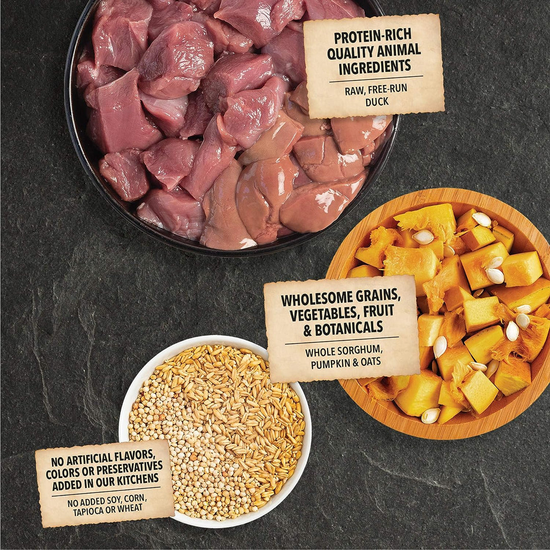 Acana Wholesome Grains Duck & Pumpkin - BlackPaw - For Every Adventure