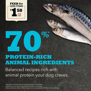 Acana Wild Atlantic Dog Food 25 lb - BlackPaw