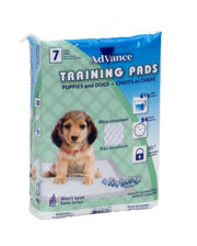 Advance Training Pads - BlackPaw