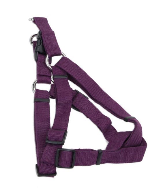 Coastal Harness Eggplant XS - BlackPaw - For Every Adventure