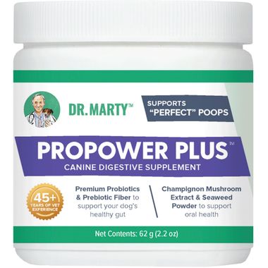 Dr. Marty Propower Plus Canine Digestive Supplement 2.2oz - BlackPaw