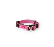 EZYDog Double Up Collar Pink - BlackPaw - For Every Adventure