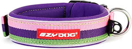 EZYDOG Neo Classic Collar Bubble Gum - BlackPaw - For Every Adventure