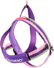 EZYDOG Quick Fit Harness Bubble Gum - BlackPaw - For Every Adventure