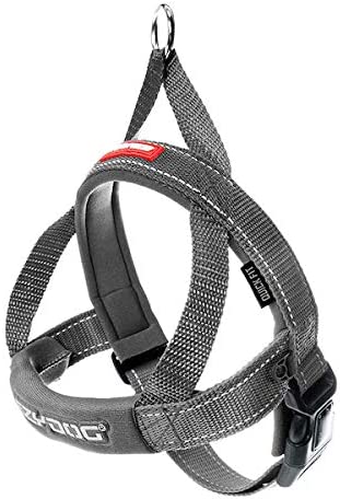 EZYDOG Quick Fit Harness Gray - BlackPaw - For Every Adventure