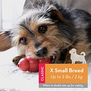 Kong Classic - BlackPaw - For Every Adventure