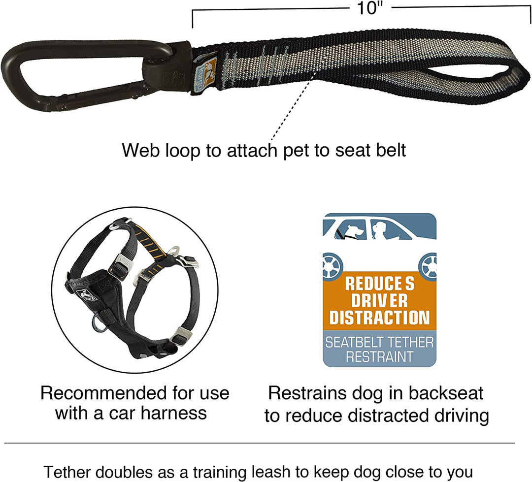 Kurgo Seatbelt Tether Silver - BlackPaw