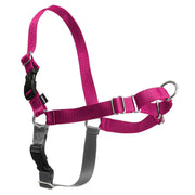 PetSafe Easy Walk Harness Raspberry