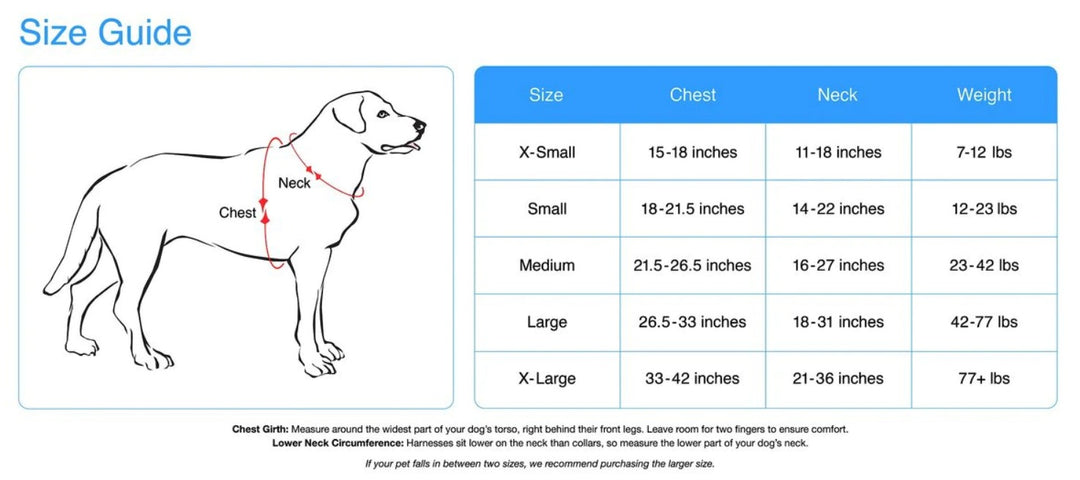 EZYDOG Quick Fit Harness Gray