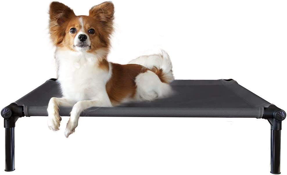 Starmark Dog Zone Training Bed