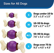 PetSafe Bouncy Bone